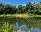 Foto des Sees im Rhododendronpark