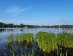 Foto Stadtwaldsee (auch Unisee genannt)