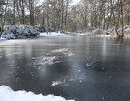 Winterlandschaft im Rhododendronpark