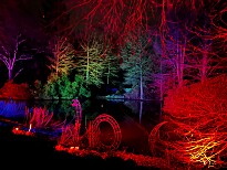 Lightup! im Rhododendronpark ab dem 07.02.2025